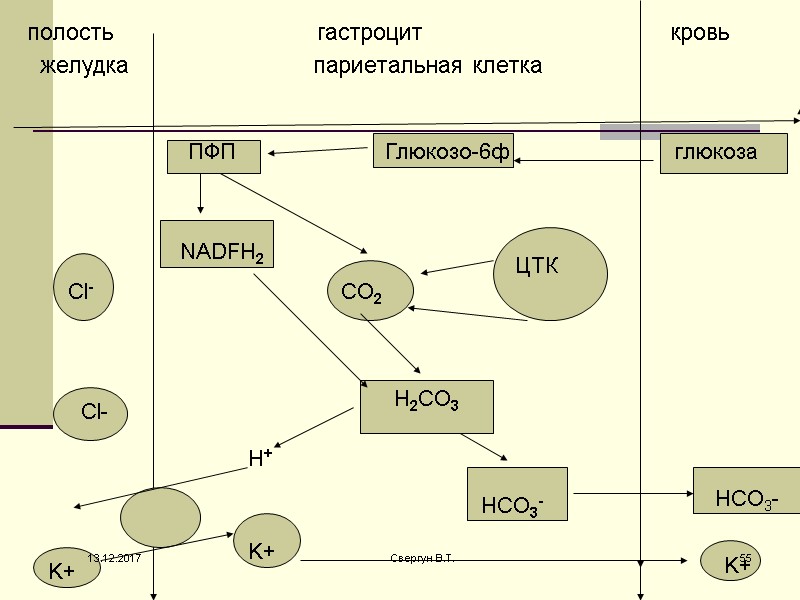 полость             